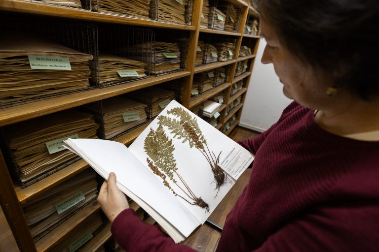 Herbario de la Universidad de Concepción celebra 100 años de conservación botánica