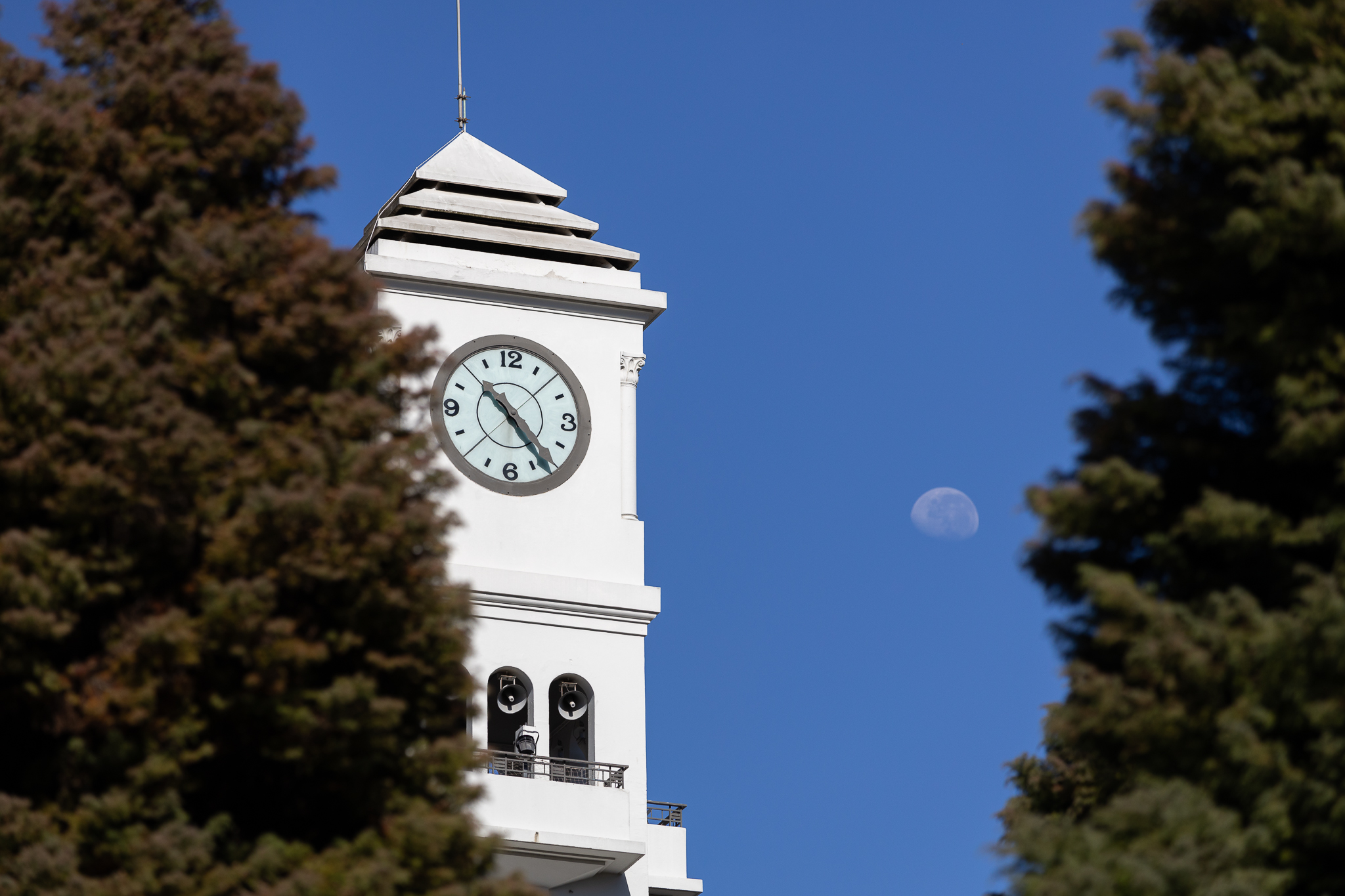 VRID UdeC adjudica recursos para Congresos y Encuentros de Investigación de diversas áreas del conocimiento