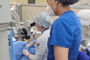 Especialidad de Endodoncia UdeC logra acreditación por 5 años con nuevos estándares de calidad de la CNA