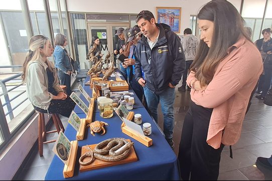 Proyecto VRIM del Museo de Zoología UdeC promueve educación en biodiversidad en Talcahuano