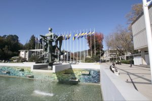 Tres proyectos de investigación aplicada UdeC se adjudicaron financiamiento de FONIS-ANID
