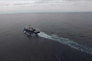 Instituto Océanos UdeC convoca a la creación de un consorcio nacional en ciencias del mar