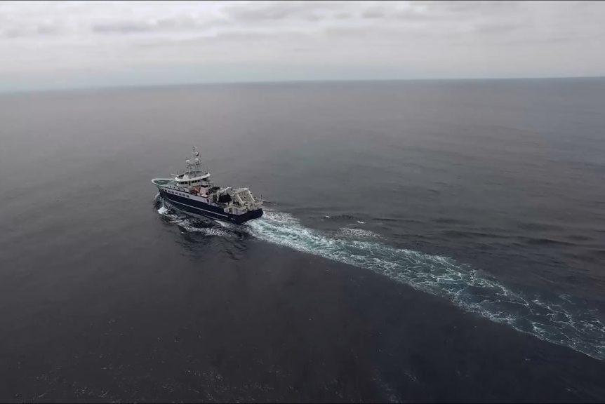 Instituto Océanos UdeC convoca a la creación de un consorcio nacional en ciencias del mar