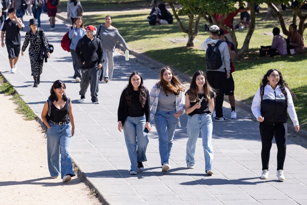 Universidad de Concepción y SernamEG impulsan formación de mujeres líderes para incidir en sus comunidades