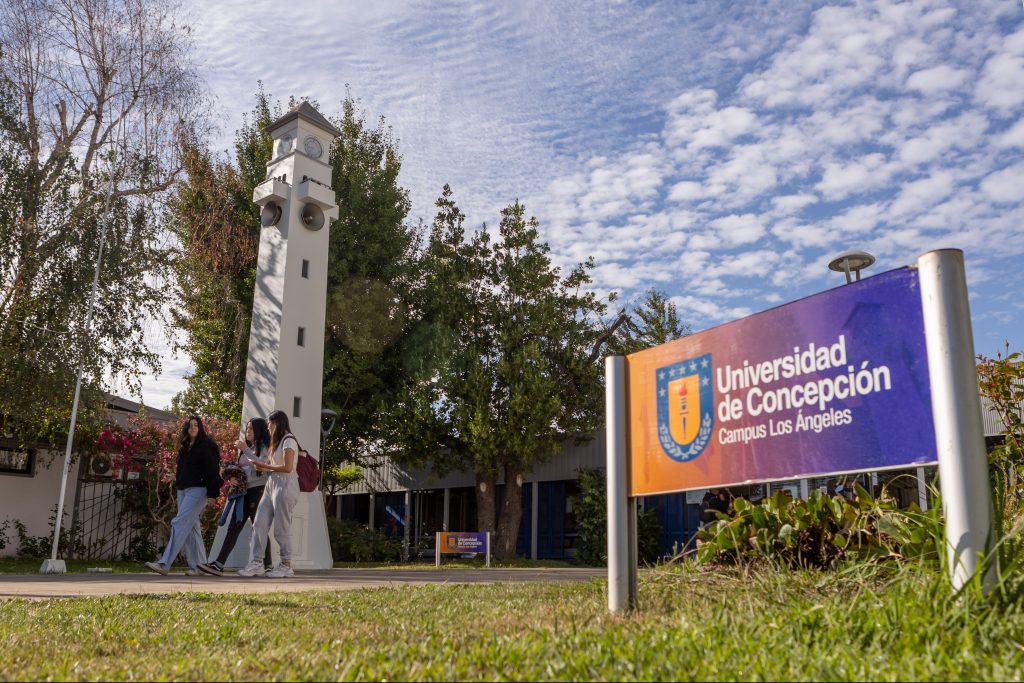 UdeC campus Los Ángeles incluye carrera de Pedagogía en Español en oferta académica para 2026