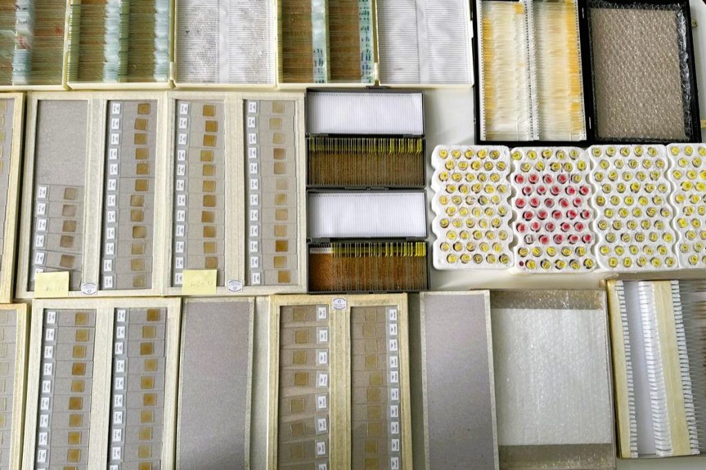 Muestras de la colección.