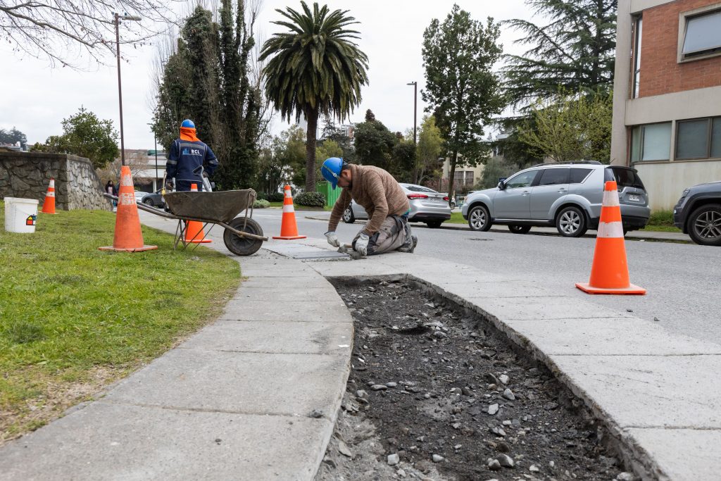 Hombres reparando vereda.