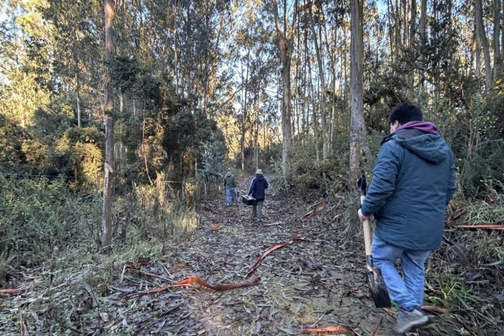 Trabajos en terreno/Cedida.