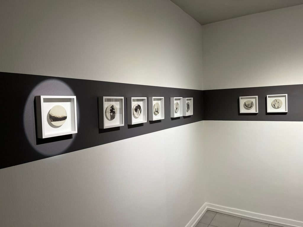 Exposición Porcelana/Dirección de Extensión.