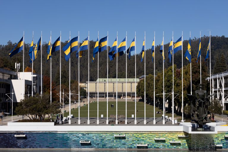 actualización de información laboral UdeC