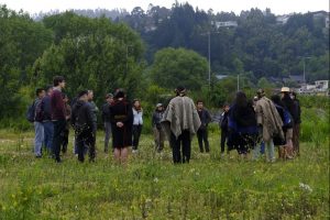 Muley mapuche warria mew: Repensando un concepto más apropiado para el “mapuche urbano”