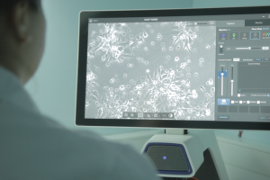 Incar evidencia liderazgo científico en la Sea Lice Conference 2025 con sólida presencia investigativa Incar evidencia liderazgo científico en la Sea Lice Conference 2025 con sólida presencia investigativa