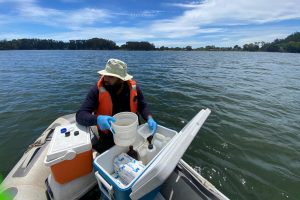 Monitoreo Laguna grande San Pedro