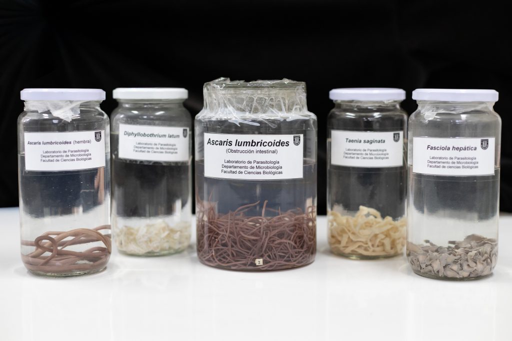 Parasitos intestinales