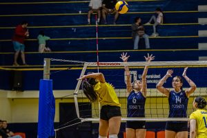 CSD Colo-Colo ratificó su favoritismo y venció al equipo de vóleibol femenino UdeC CSD Colo-Colo ratificó su favoritismo y venció al equipo de vóleibol femenino UdeC