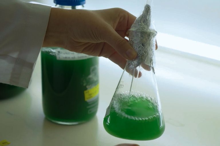 SFE Lab 500 mL para investigación