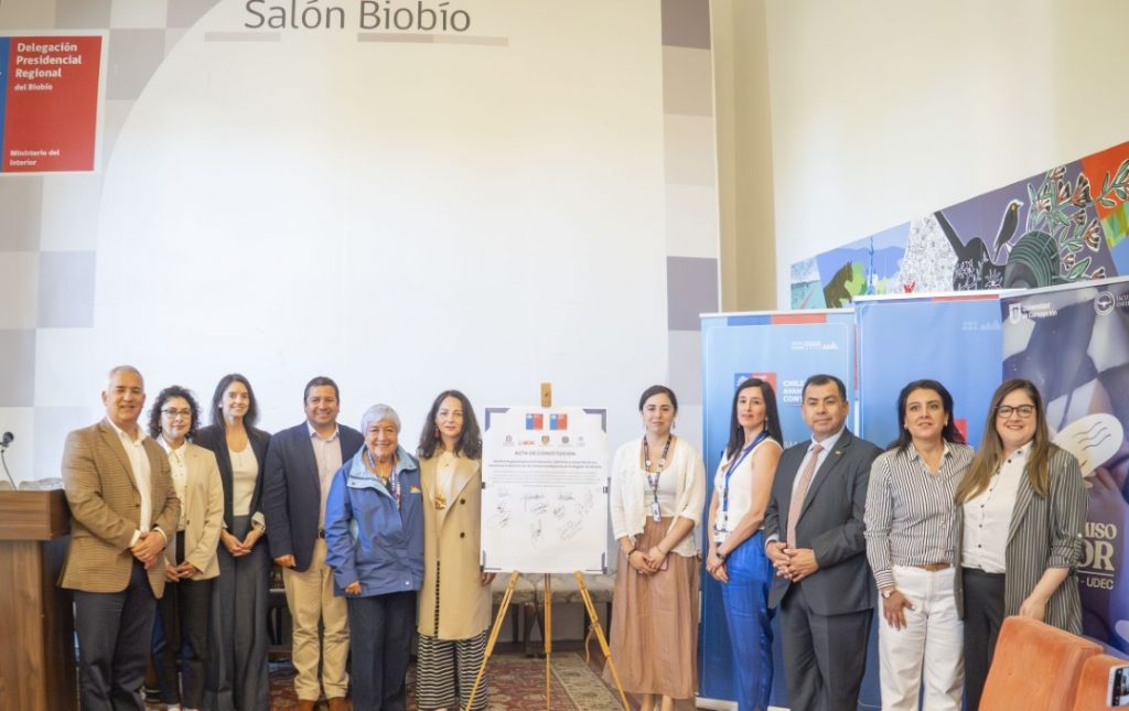 Comité Regional de DD.HH. Personas Mayores