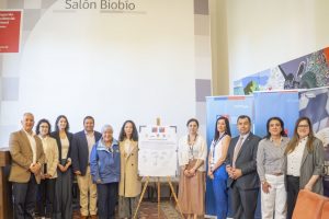 Comité Regional de DD.HH. Personas Mayores