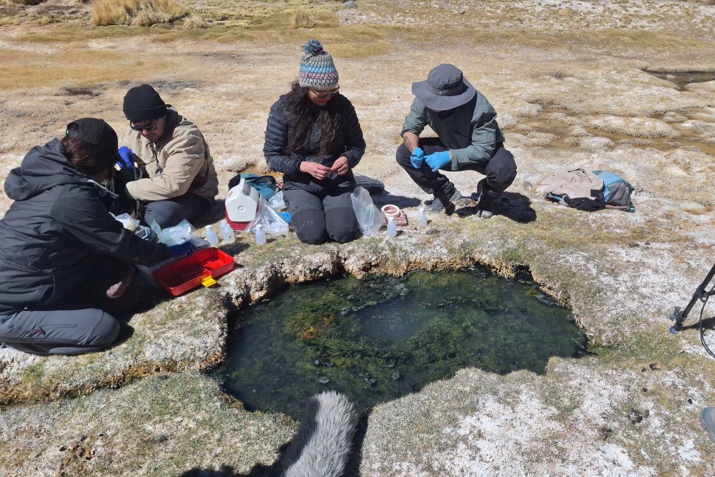 proyecto Anillo Salares