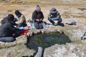 proyecto Anillo Salares