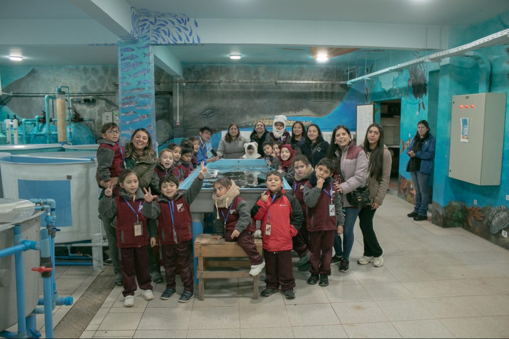 Carnaval de la Biodiversidad Marina