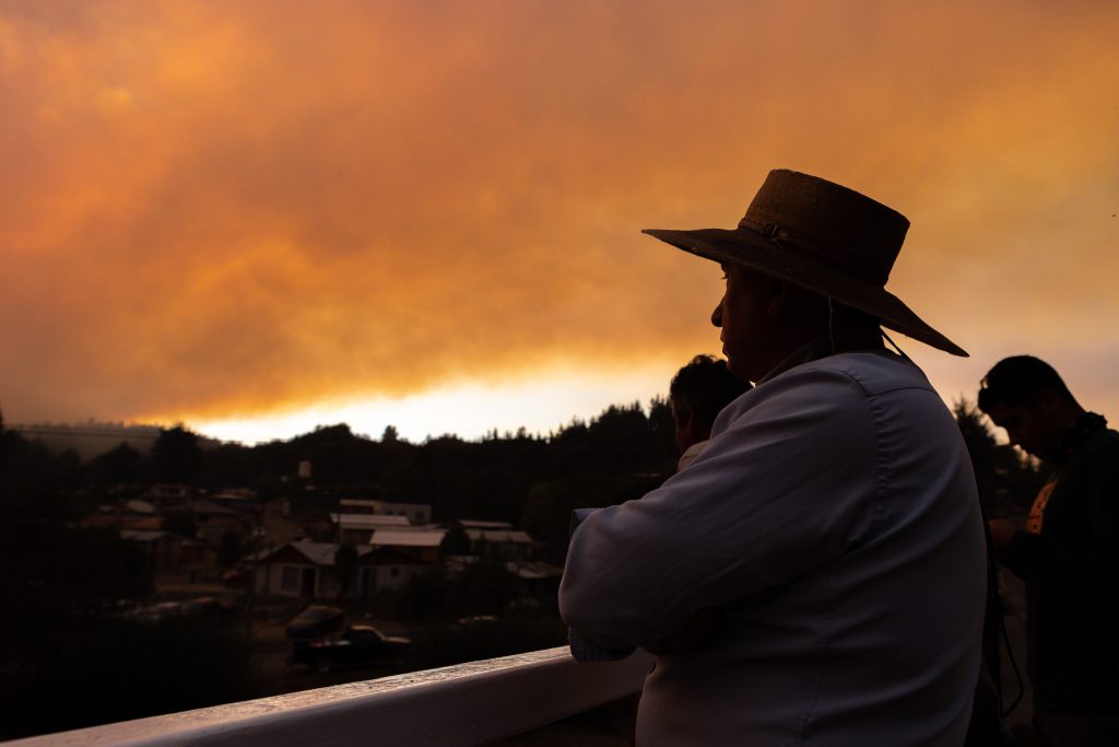 Incendio forestal en sector Rafael de Tome