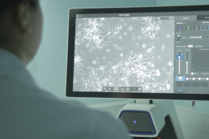 El centro INCAR² de la UdeC estará en AQUASUR 2026