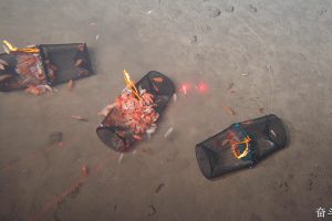 Experimento de Digestión de la expedición JCATE 2026