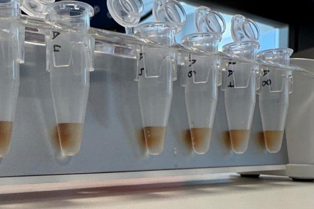 Análisis de suelos en laboratorio.