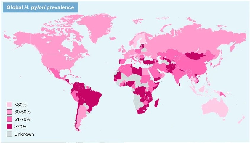 Prevalencia mundial de Helicobacter pylori.
