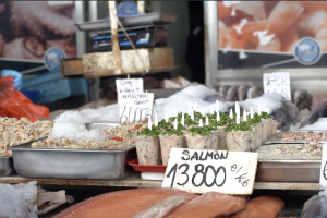 Estudio UdeC aborda riesgos de zoonosis de origen marino y promueve estrategias de prevención en el país
