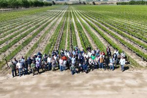 Ingeniería Civil Agrícola UdeC se proyecta internacionalmente en Escuela de Microirrigación en UC Davis