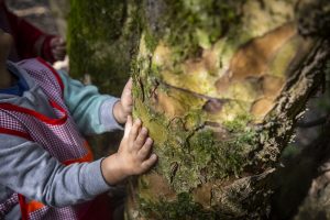Día Mundial de la Salud 2026 releva el rol de la ciencia en la toma de decisiones sanitarias