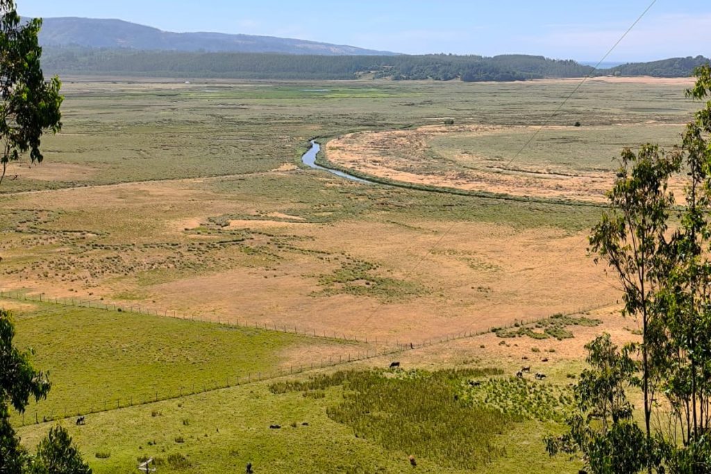 Humedal Tubul-Raqui.